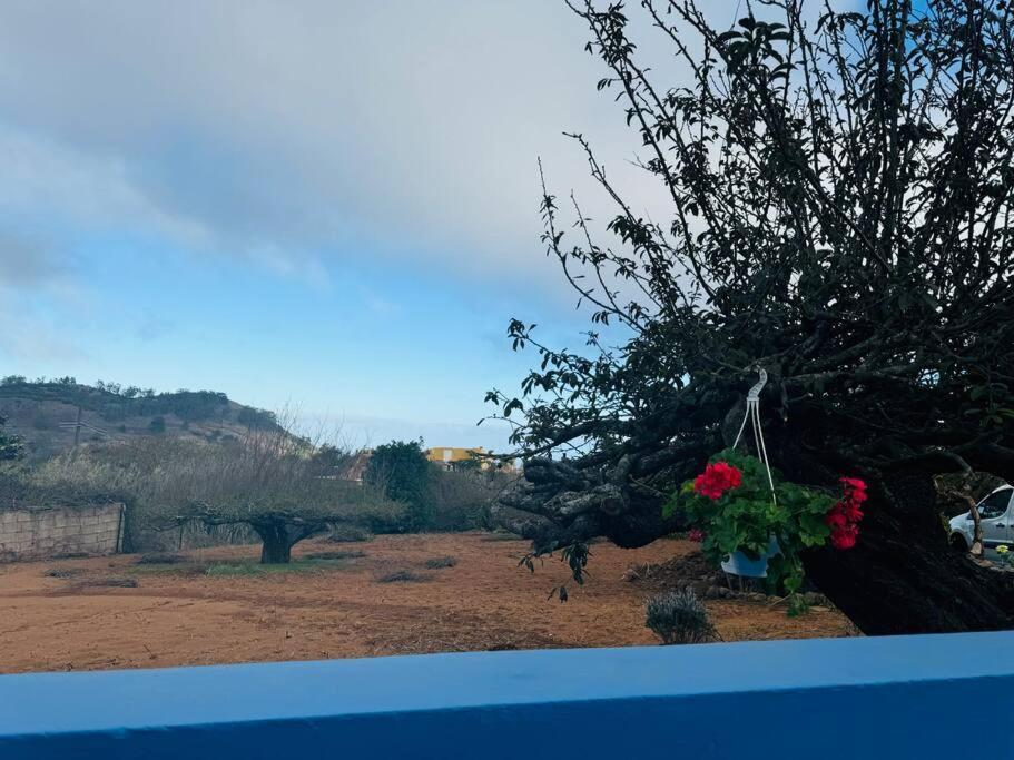 La Casita De Rosi La Esperanza (Tenerife) Exterior foto